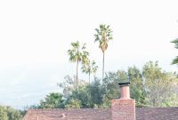Ojai Bound Discover the Valley’s Unique Charms
