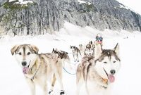 Alaska’s Enchanting Escapes
