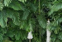 Enchanting Oahu Journeys