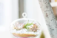 Romantic Terrarium Creations