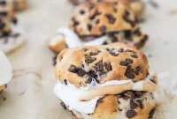 Gooey Chocolate Chip Cookie Smores