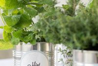 Homegrown Indoor Herbs