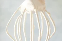 Rich Maple Frosting