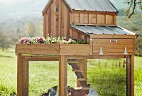 5 Delightful Small Coops for Happy Backyard Hens