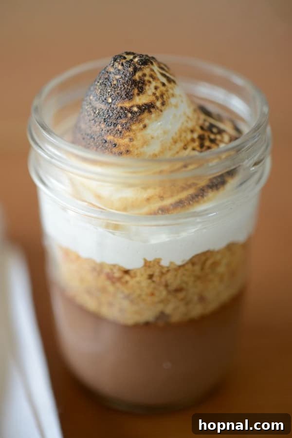Gourmet Superba S'mores with artisanal chocolate and perfectly toasted marshmallow