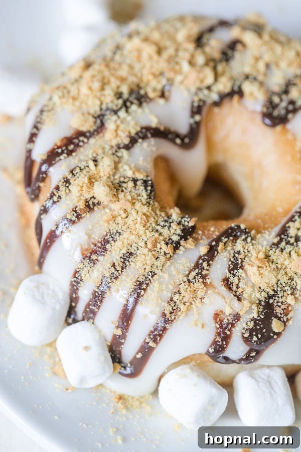 Gourmet Marshmallow S'mores Donut with toasted meringue-like topping