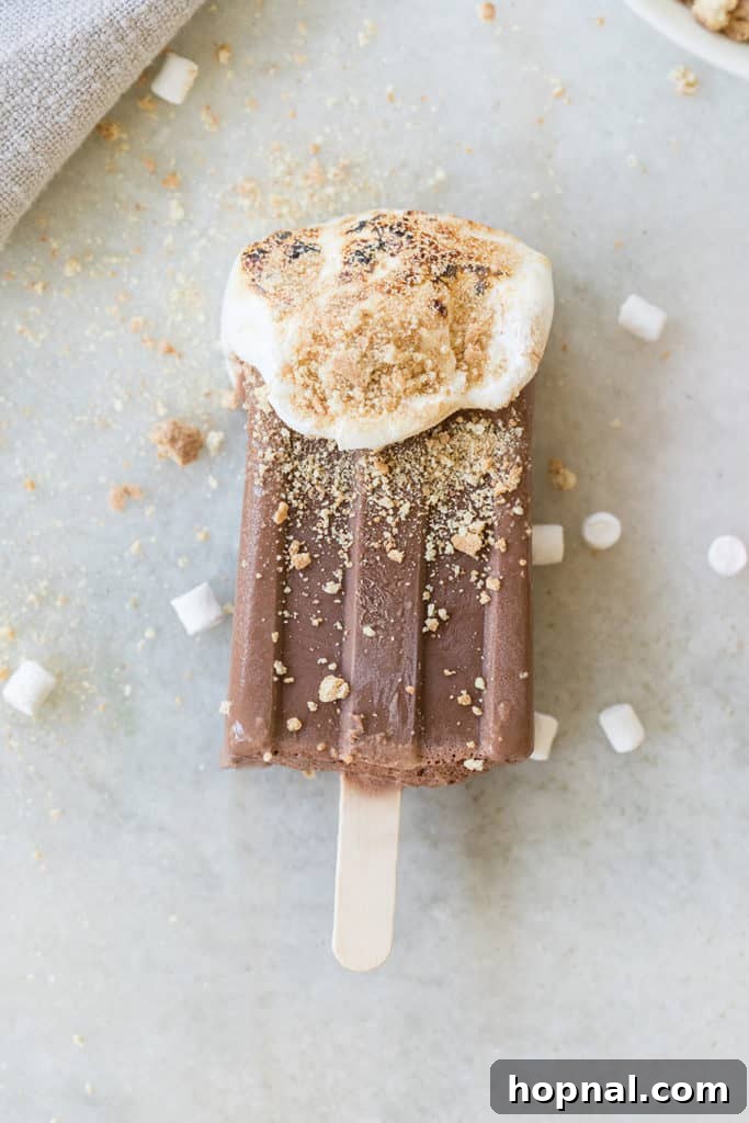 Refreshing Chocolate S'mores Popsicle with visible graham cracker crumbs and chocolate swirls