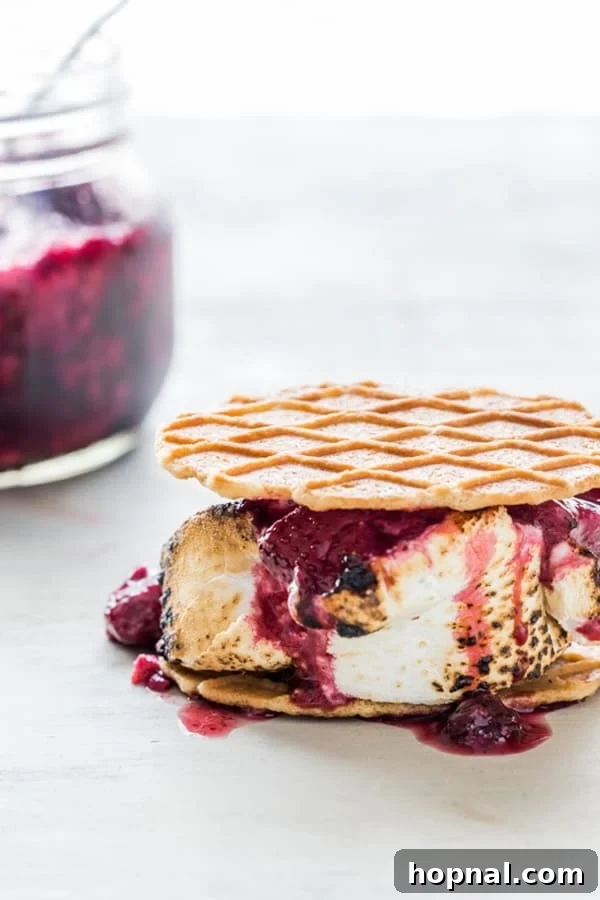 Roasted berry s'mores with a thin cookie, toasted marshmallow, and sweet jam
