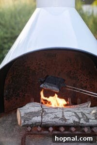Campfire pie cooking over an open fire, the pie iron held by its long handle