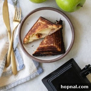 A delicious campfire apple pie with a crispy golden crust and a slice showing the warm apple filling, next to a cast iron pie maker