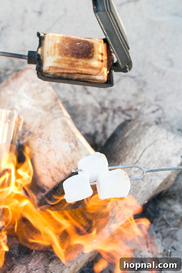 Crafting Your Dream Beach Bonfire Night 6 Delicious campfire food, including salmon and vegetables, cooking over the beach bonfire.