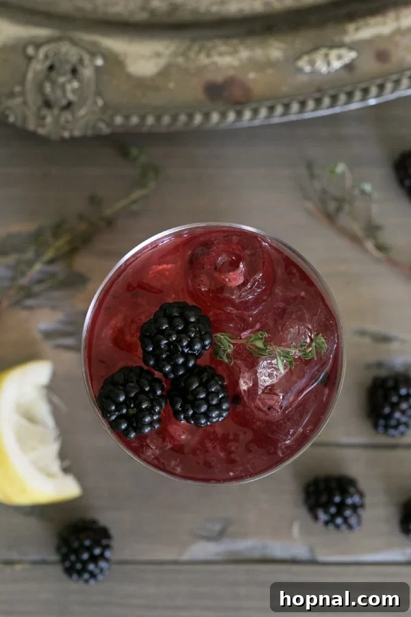 Close-up of Blackberry Thyme Sparkling Punch, showing the infused vodka, fresh blackberries, and lemon slices.