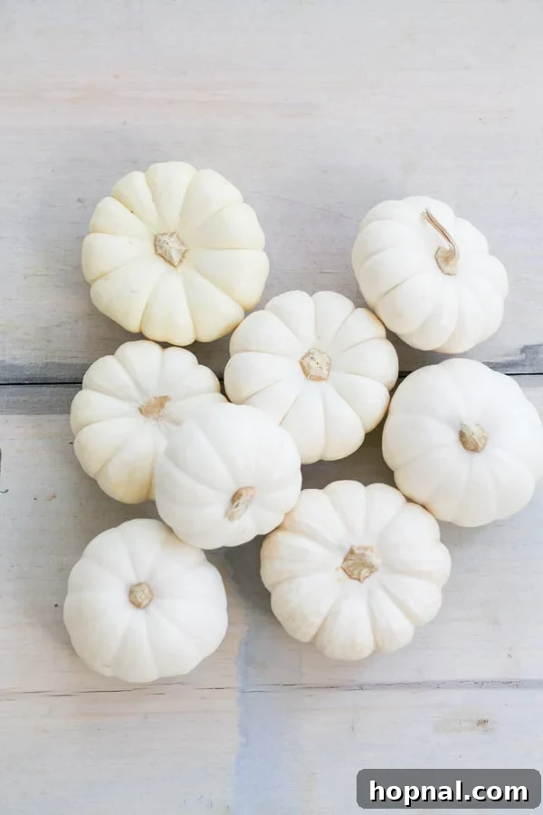 Sweet Autumn: Homemade Pumpkin Ice Cream Cones 5 Selection of clean, unpainted white mini pumpkins ready for a creative crafting session