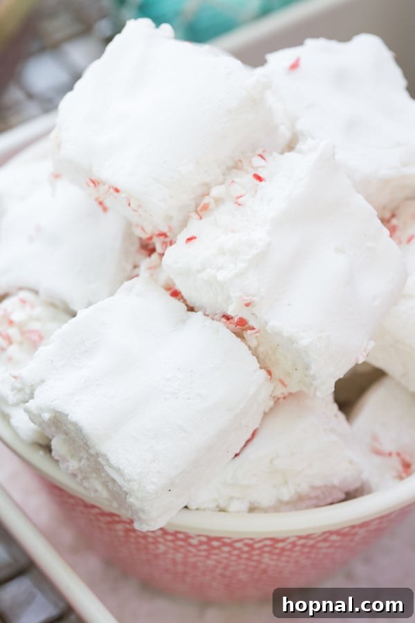 Close-up of soft marshmallows and crushed candy canes, popular toppings for a hot chocolate bar.