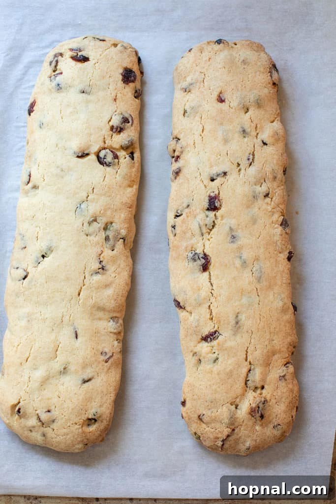 Jeweled Cranberry Pistachio Biscotti 10 Biscotti logs after the first bake, lightly golden and ready for slicing.