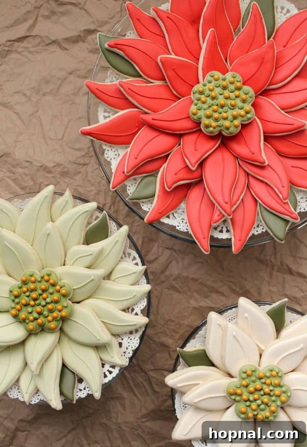 Crafting Beautiful Christmas Cookies 5 Stunning Poinsettia cookies with vibrant food coloring, a beautiful holiday cookie idea