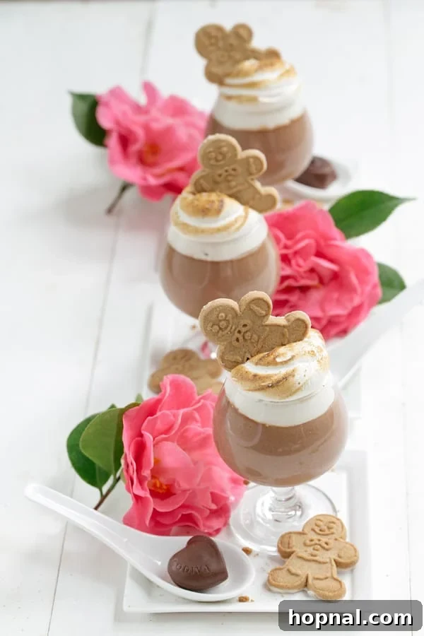 Rich chocolate parfait layered with airy gingerbread marshmallow fluff and a delicate gingerbread cookie