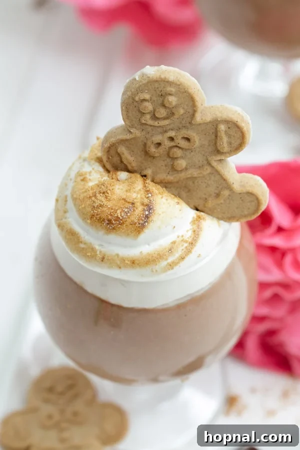 Delightful gingerbread cookie accompanying a toasted marshmallow parfait