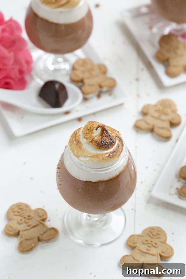 Close-up of a chocolate marshmallow parfait with beautifully toasted marshmallow fluff.