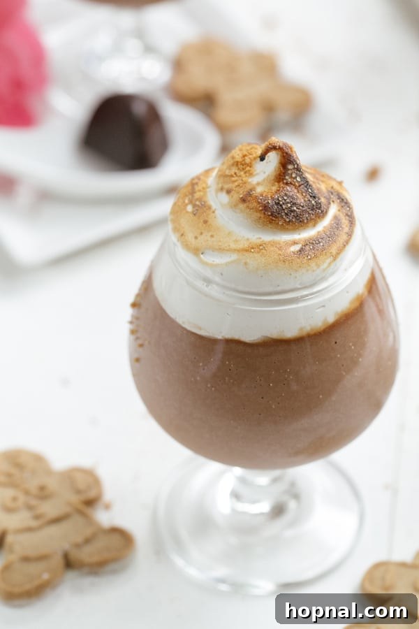 Elegant chocolate parfait with a generous topping of golden toasted marshmallow fluff