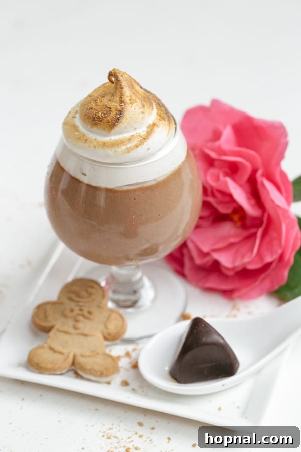 Close-up of a luxurious chocolate parfait, exquisitely made with Godiva chocolate