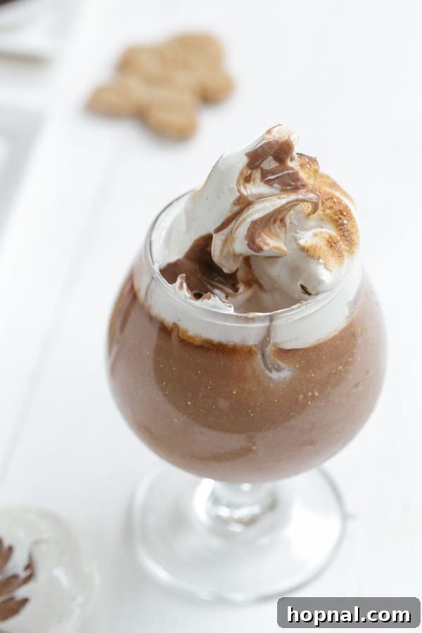 Godiva chocolate parfait with gingerbread and toasted marshmallow, showcasing layered textures