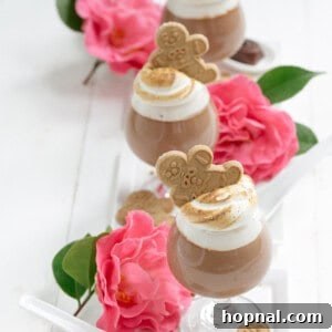 A beautifully presented Godiva chocolate parfait with gingerbread marshmallow fluff