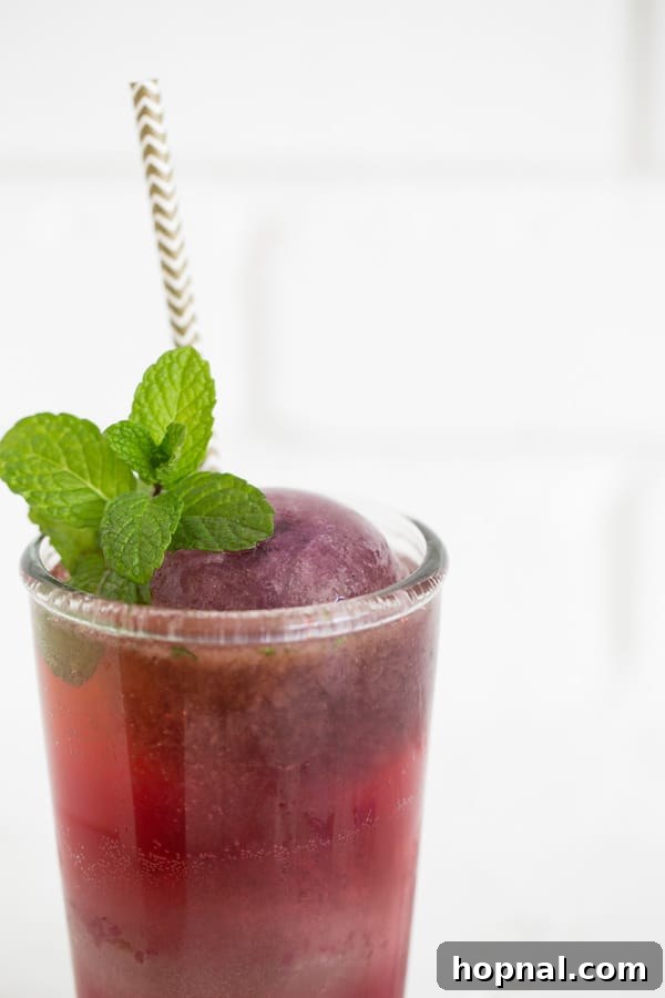 Close-up of a refreshing blueberry mojito cocktail with muddled mint and lime, ready to be enjoyed.