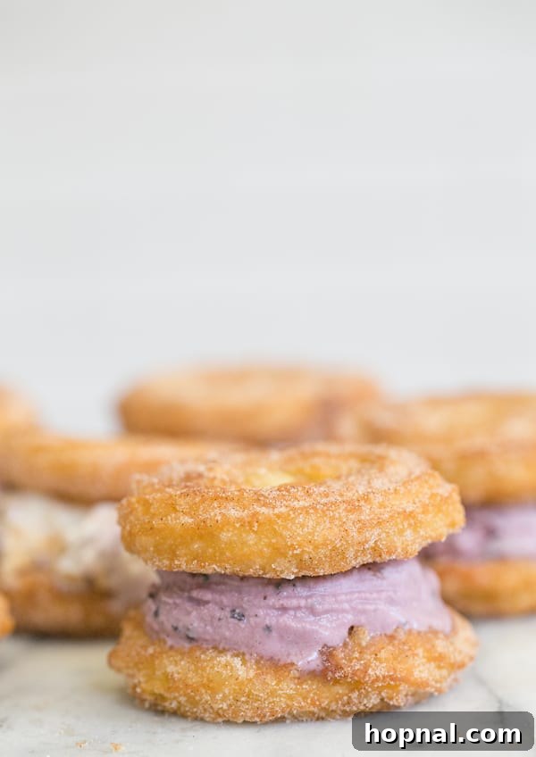A mini ice cream sandwich made with homemade churros, showcasing the golden-brown churro and melting ice cream.