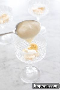 Heavenly Banana Pudding 23 img 147 23