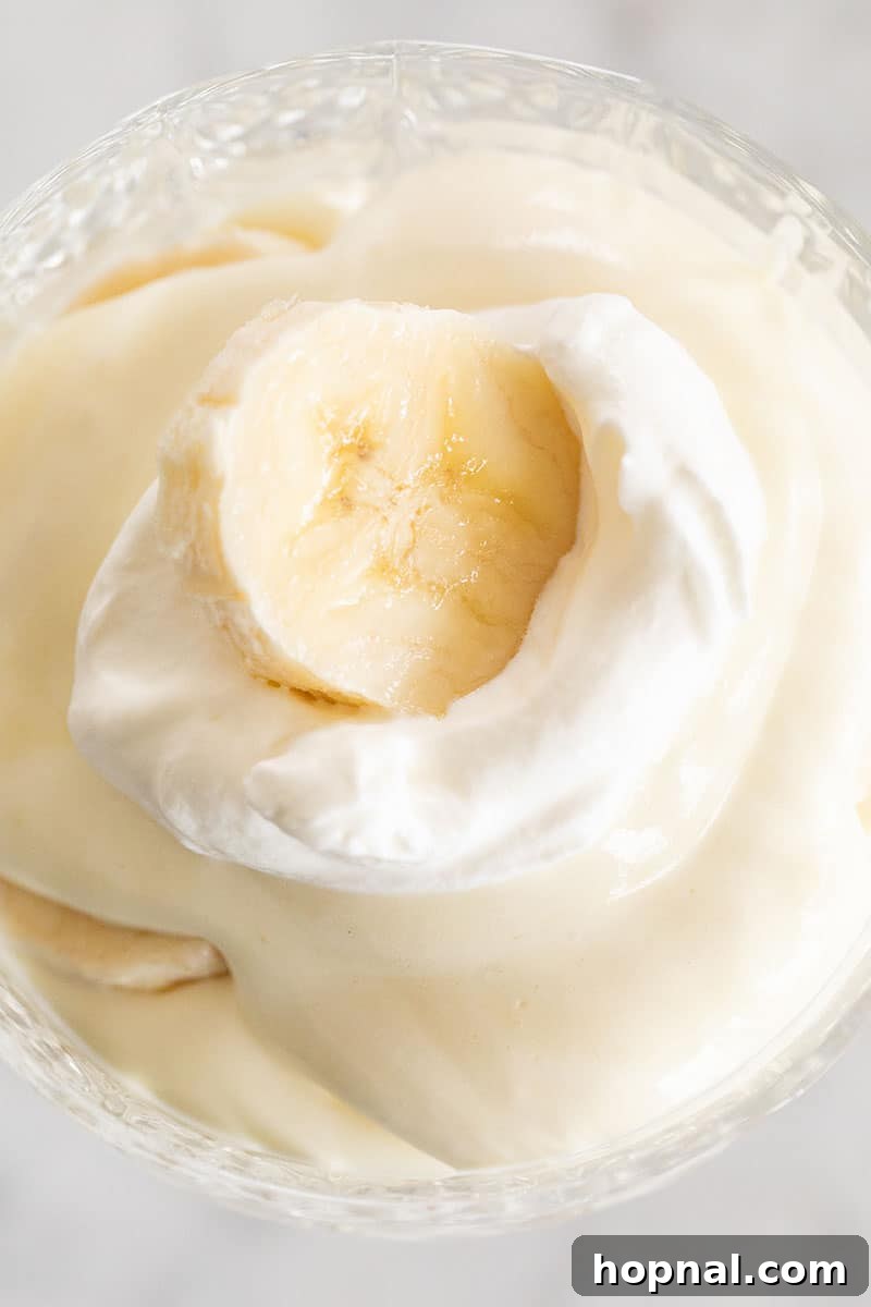 Heavenly Banana Pudding 5 A close-up of a single serving of banana pudding in a glass, featuring layers of pudding, banana slices, and a dollop of whipped cream.