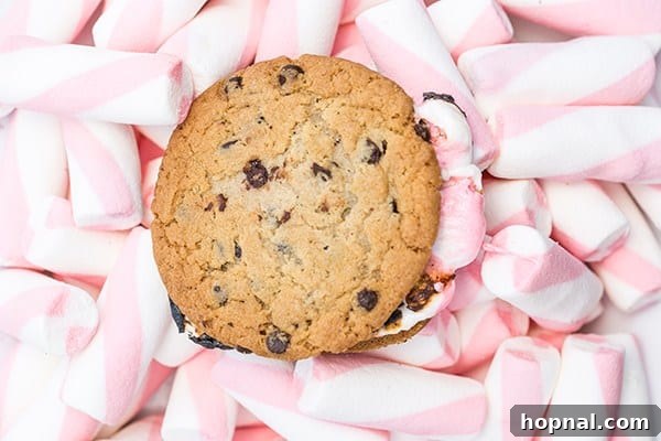 Pink and white striped marshmallows with a chocolate chip cookie, ready for s'mores