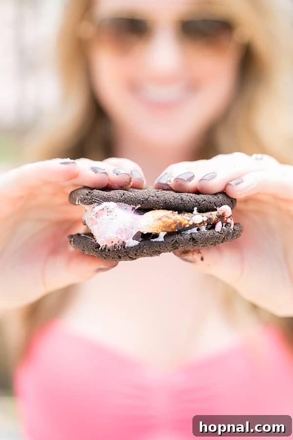 A delicious chocolate chip cookie s'more, a perfect party dessert