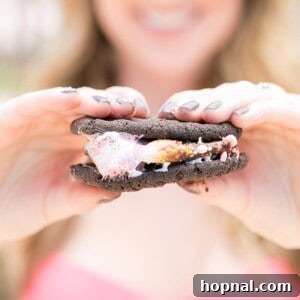 Double chocolate cookie ice cream sandwich, a perfect summer dessert