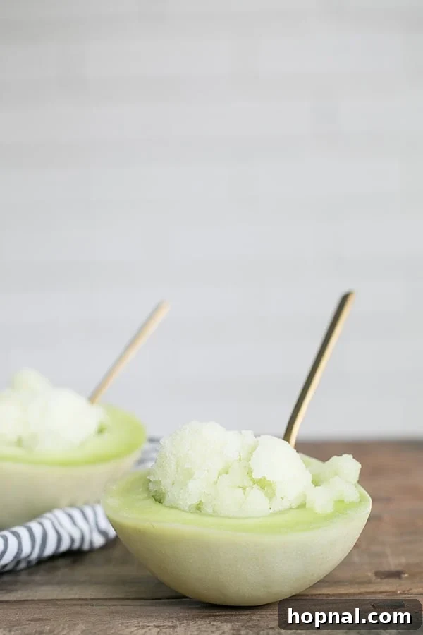 Vibrant honeydew sake sorbet served elegantly in a hollowed-out honeydew melon, garnished with mint, perfect for a refreshing summer dessert.