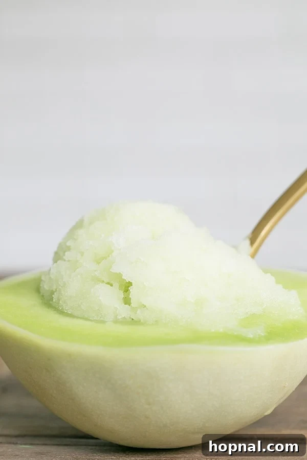 Close-up of freshly made honeydew sake sorbet, ready to be served in a honeydew shell, highlighting its refreshing texture.