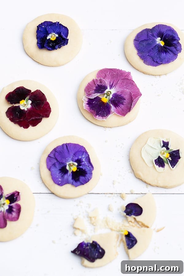 A broken shortbread cookie