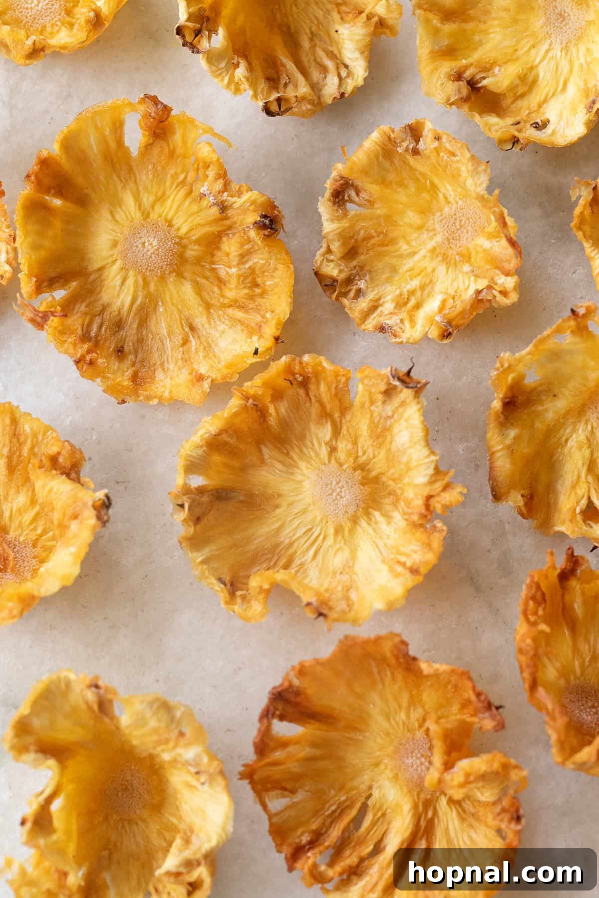 Close-up of dried pineapple flowers showing their intricate curls and golden hue.