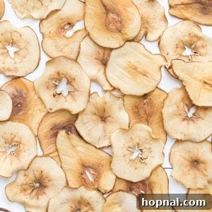 Homemade Pear and Apple chips, crispy and ready to eat as a healthy snack or dessert.
