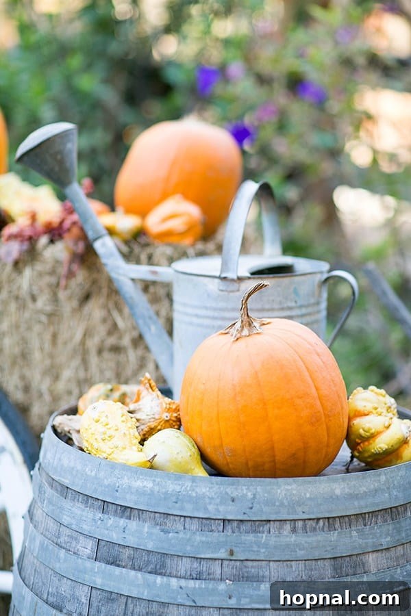 Pumpkins and gourds artfully displayed on a barrel, adding a charming autumnal touch to the campsite for Thanksgiving.