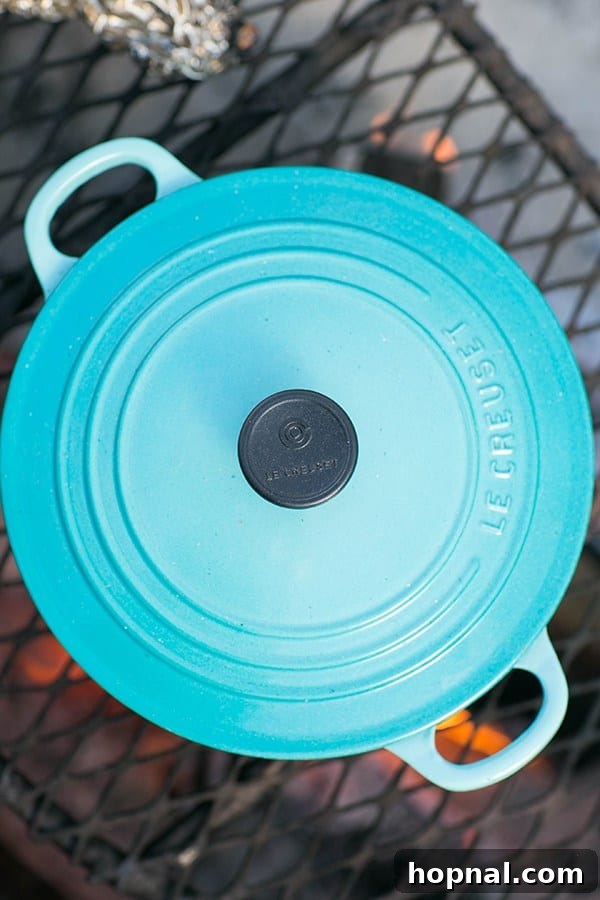A pot cooking over a propane camp stove, demonstrating easy food preparation during a Thanksgiving camping trip.