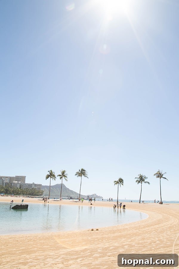 Beautiful beach with palm tress in Oahu.