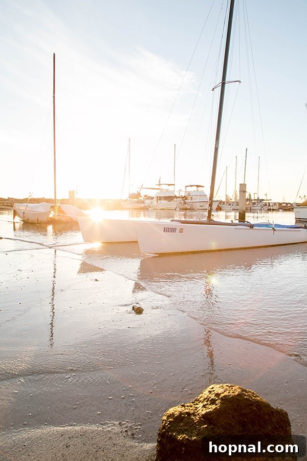 Sunset sail boats