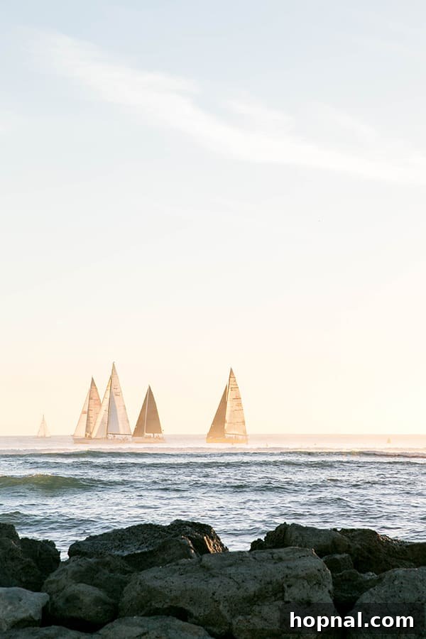 Sailboats in the ocean.