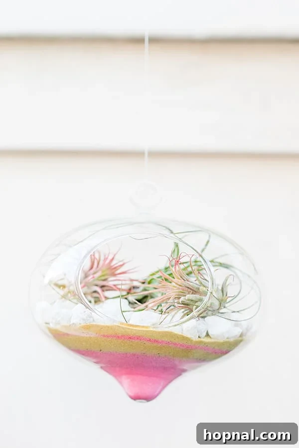 A beautifully decorated Valentine's Day Terrarium hanging gracefully, showcasing its festive design.