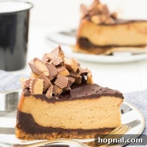 Chocolate Peanut Butter Cheesecake with Reese's topping