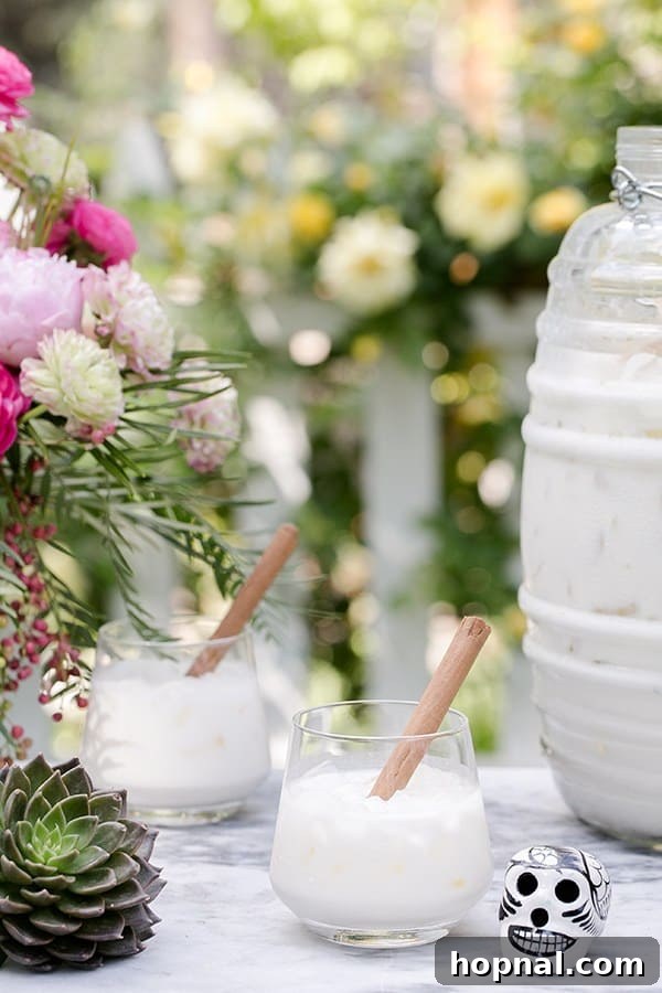 Spice Up Your Cinco de Mayo Celebration 11 Mexican horchata in a small glass with a cinnamon stick.