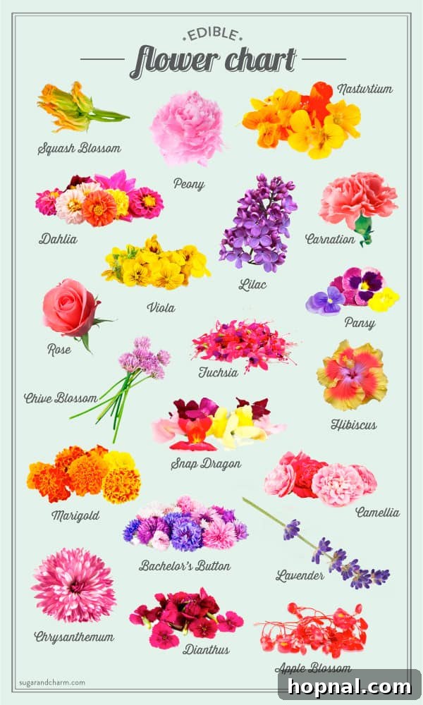 A comprehensive chart visually listing various edible flowers with descriptions of their flavors and culinary uses.