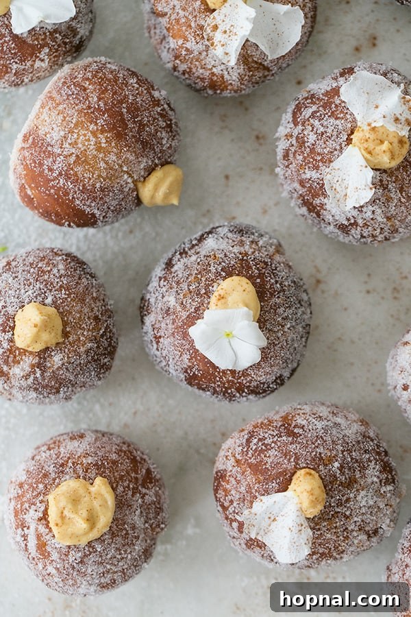 overhead shot of homemade donut holes