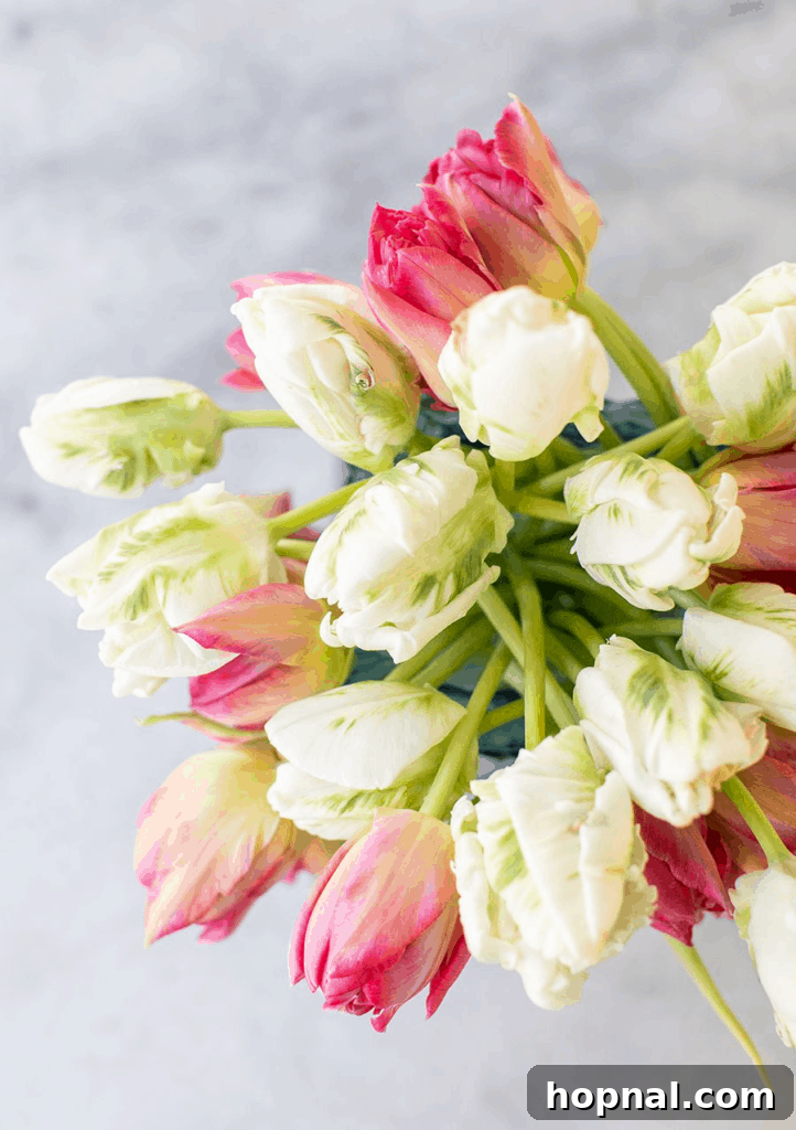 organic flowers - floral arranging tips